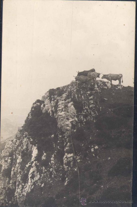 Postales: ASTURIAS.- LA ,MOSTALLAL - Foto 1