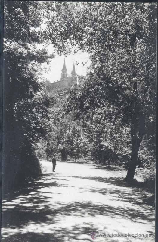Postales: COVADONGA (ASTURIAS).- PRIMAVERA - Foto 1