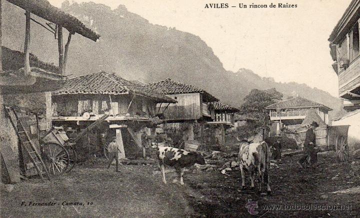 Postales: aviles. un rincon de raizes - Foto 1