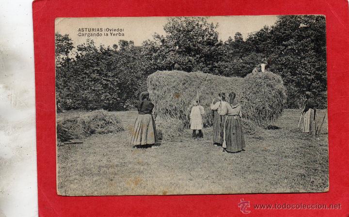 Postales: cargando la yerba - Foto 1