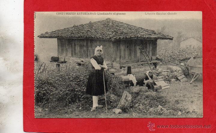 Postales: costumbres. lidiando el ganado - Foto 1