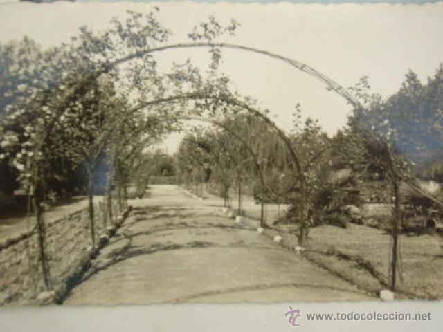 Postales: GIJON.  N&ordm; 172.  ARRIBAS. - Foto 1