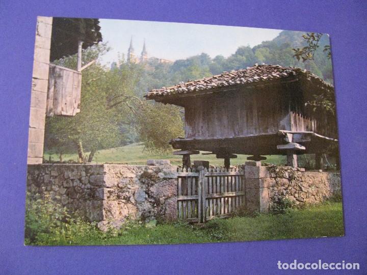 Postales: POSTAL DE COVADONGA. ED. M. ROYUELA. SIN CIRCULAR. - Foto 1
