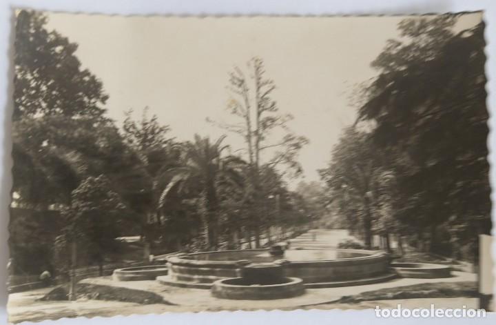 Postales: OVIEDO - Foto 1