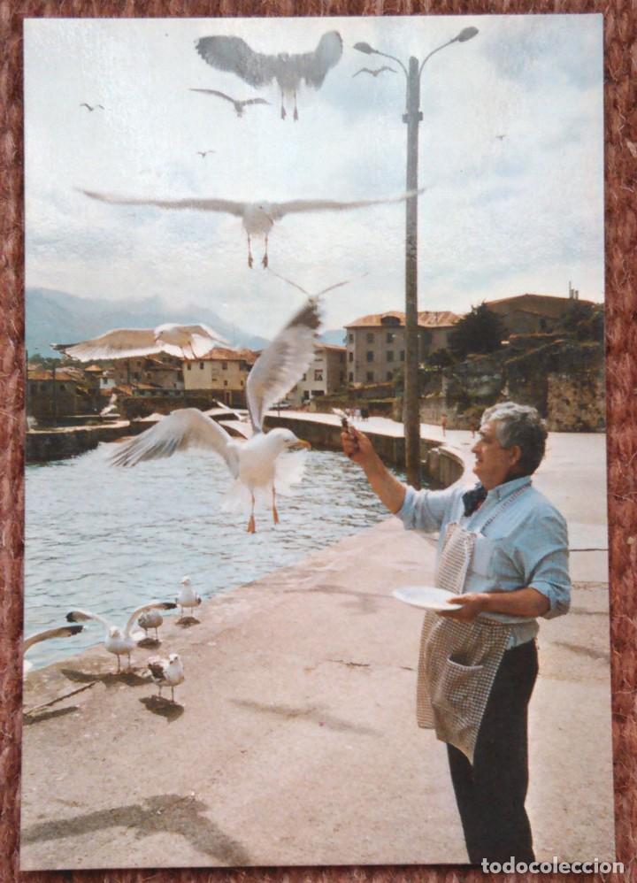 Postales: LLANES - TOMAS Y LAS GAVIOTAS - Foto 1