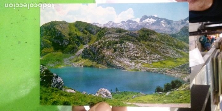 Postales: Postal Covadonga Lago Enol - Foto 1