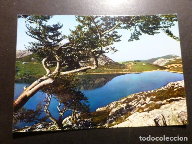Postales: COVADONGA ASTURIAS - Foto 1
