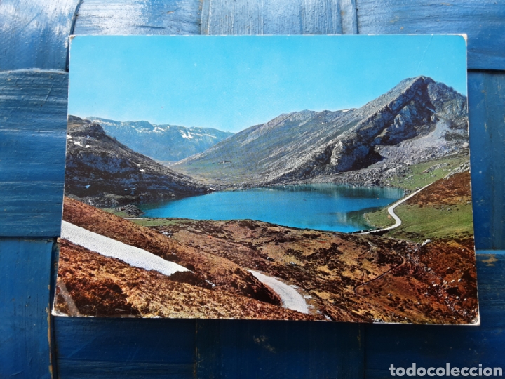 Postales: Lago Enol. (Covadonga) - Foto 1