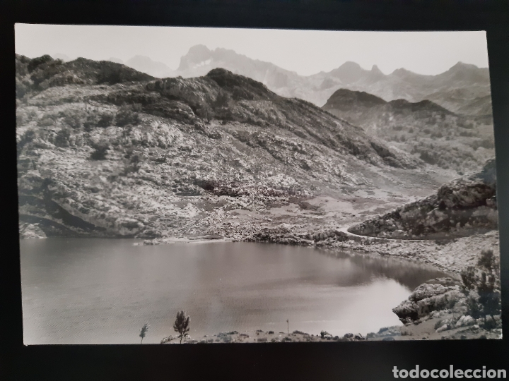 Postales: Postal de Covadonga. Lago Enol y los Acebos. - Foto 1