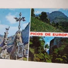 Postales: PICOS DE EUROPA. Lote 324246873