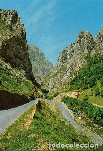 Postales: Poncebos - 63 Carretera a Sostres al fondo Garganta del r&iacute;o Cares