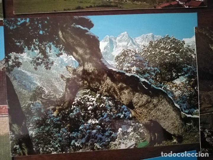 Postales: 8 postales de Picos de Europa. - Foto 6