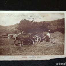 Postales: ASTURIAS-LABORES DEL CAMPO-POSTAL ANTIGUA-(92.956). Lote 338295018