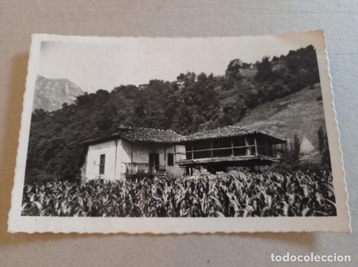 Postales: OVIEDO POSTAL - Foto 1