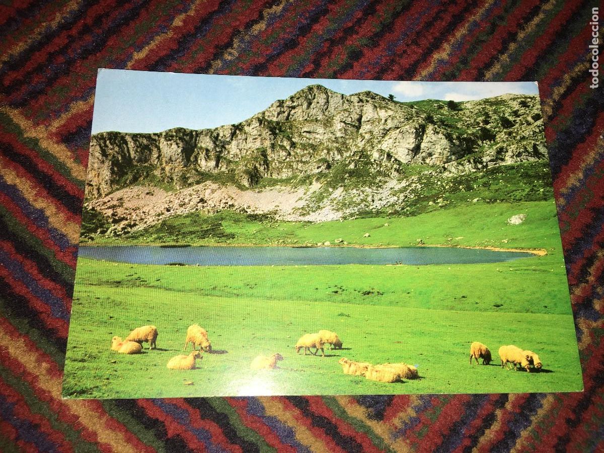 Postales: 11 POSTALES, CANGAS DE ONIS ,COVADONGA - Foto 3