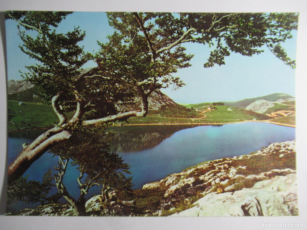 Postales: Covadonga - Lago Enol - Foto 1