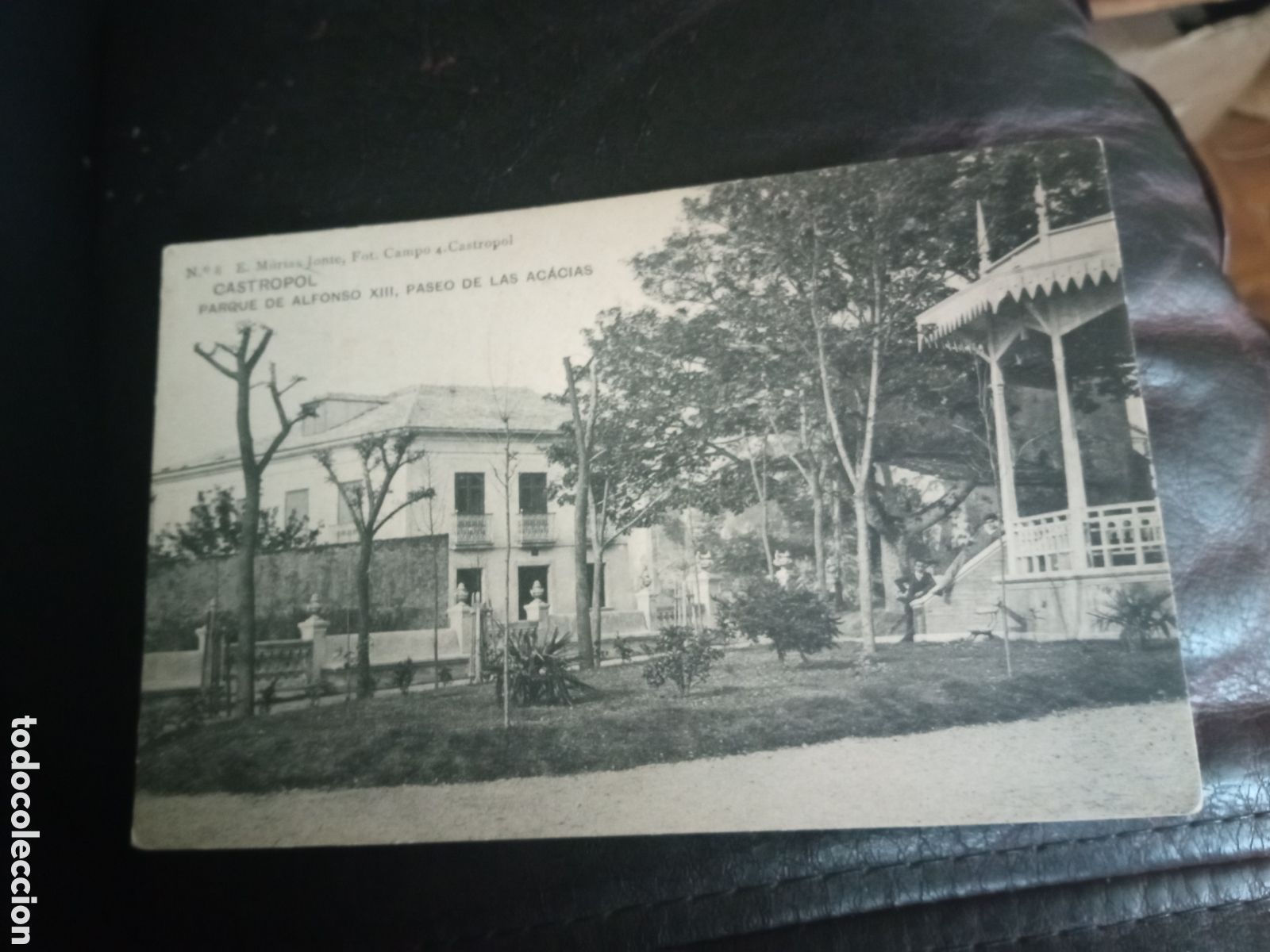 Cartoline: Antigua postal fotogr&aacute;fica, Castropol (Asturias) Parque de Alfonso XIII, Paseo de las acacias