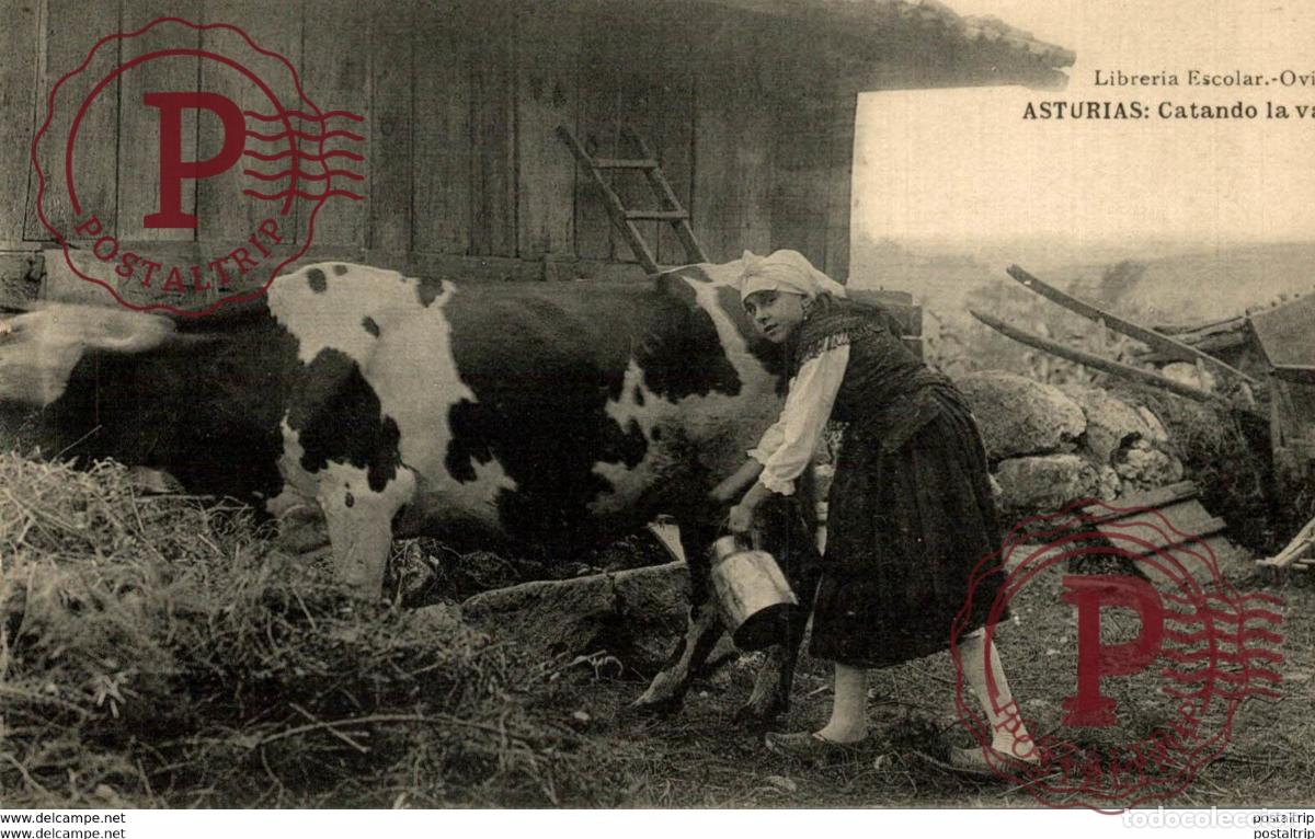 Postales: ASTURIAS CATANDO LA VACA - Foto 1