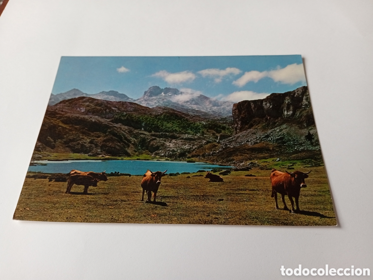 Postales: Postal Asturias Covadonga - Foto 1