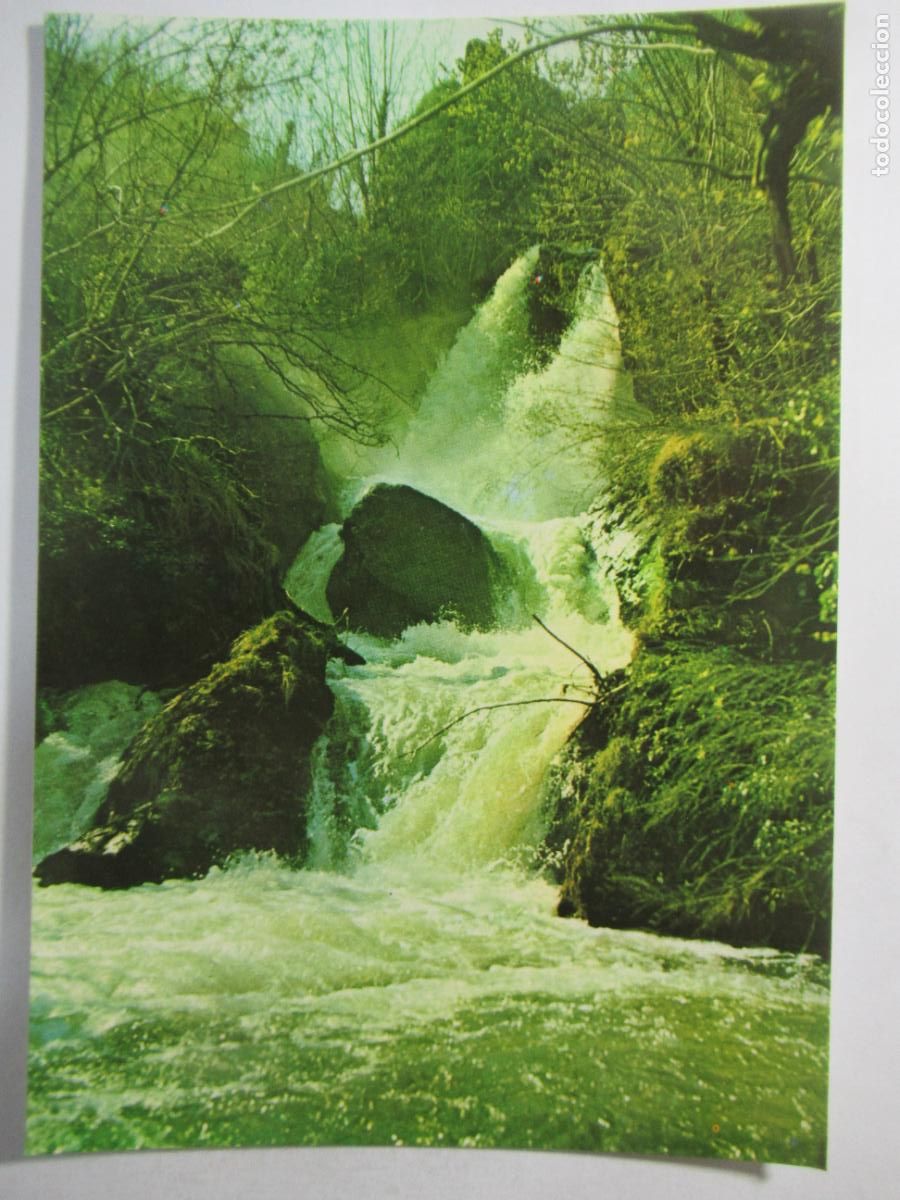 Postales: Picos de Europa - R&iacute;o Deva en Cosgaya - S/C