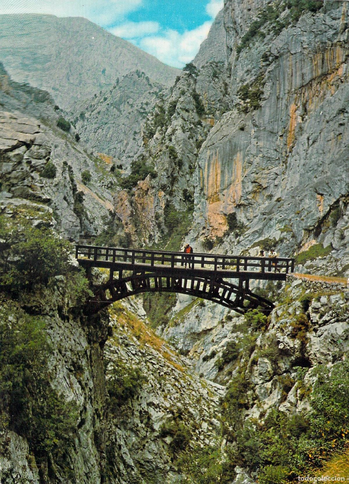 Postales: Postal de los Picos de Europa, Garganta del Cares y Puente Bol&iacute;n