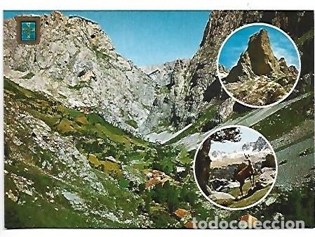 Postales: DIVERSOS ASPECTOS / DIFFERENT ASPECTS.- PICOS DE EUROPA - Foto 1