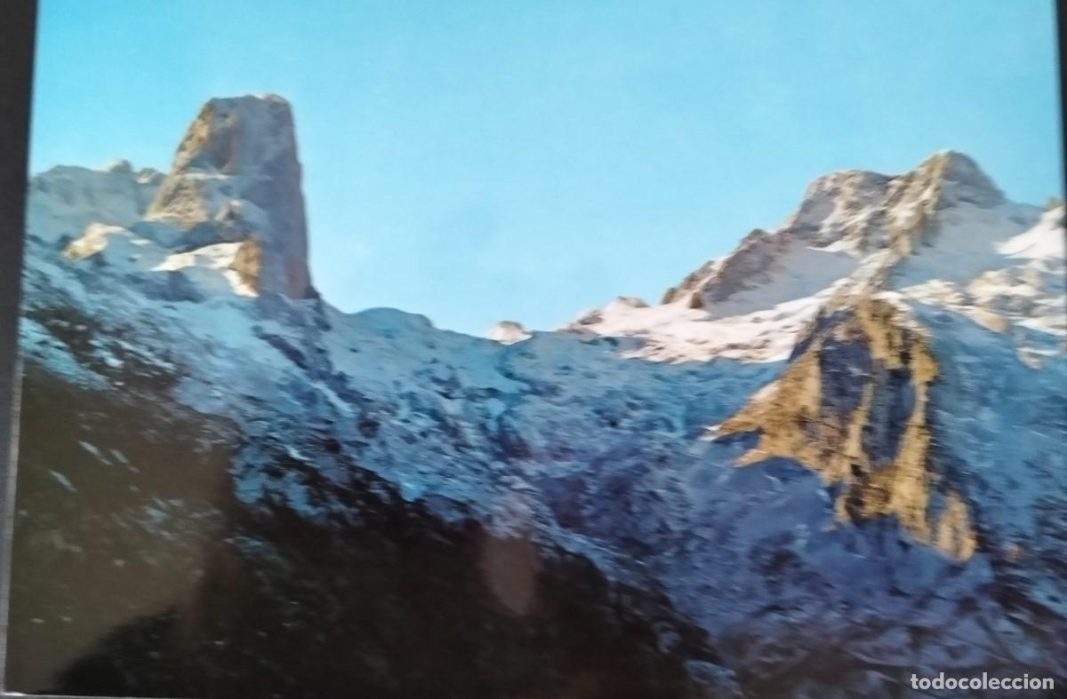 Postales: POME5 33017 NARANJO DE BULNES ( ASTURIAS )