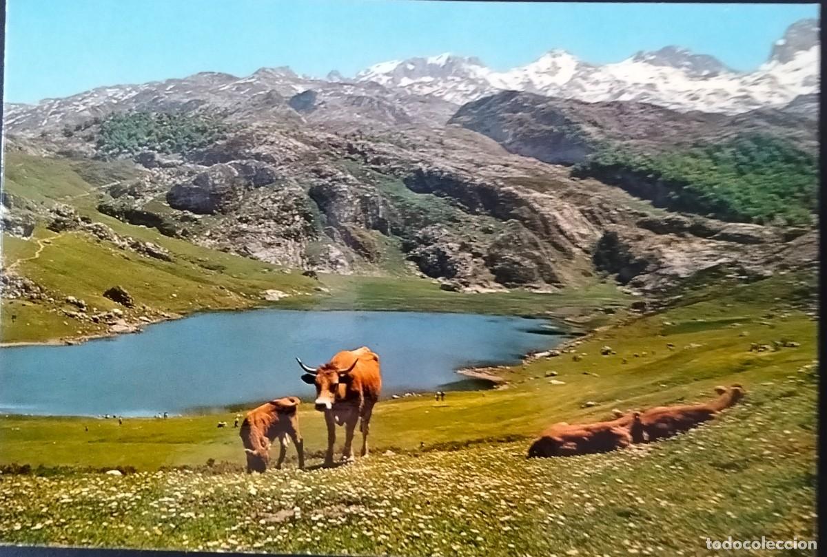 Postales: POME5 33086 COVADONGA ( ASTURIAS )