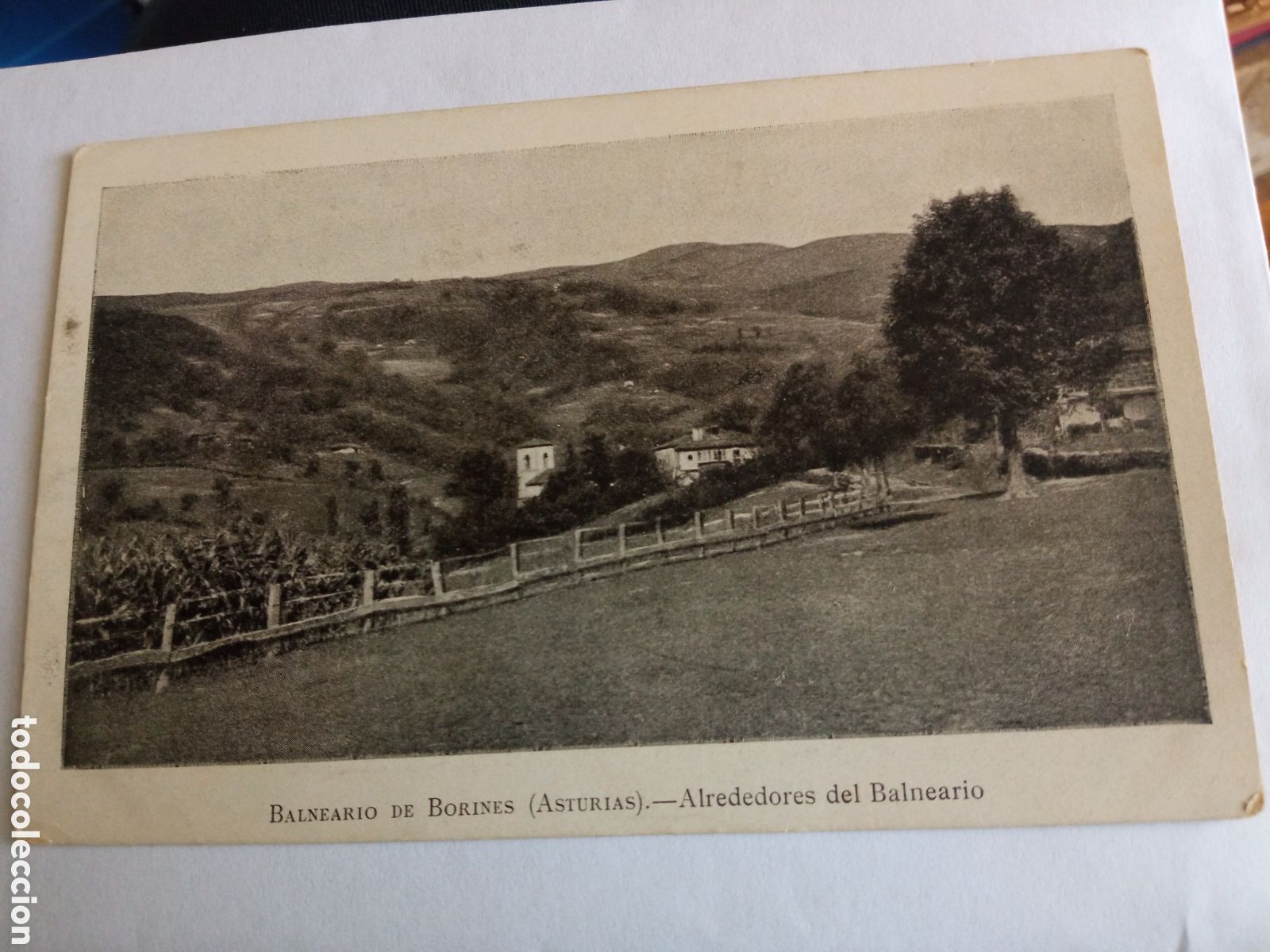Postales: Antigua postal fotogr&aacute;fica, Balneario de Borines (Asturias), Alrededores del Balneario