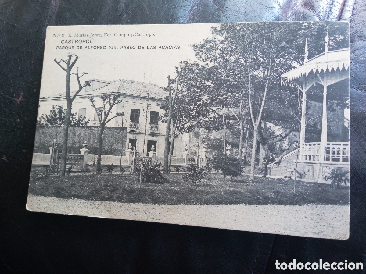 Postales: Antigua postal fotogr&aacute;fica, Castropol (Asturias) Parque de Alfonso XIII, Paseo de las acacias