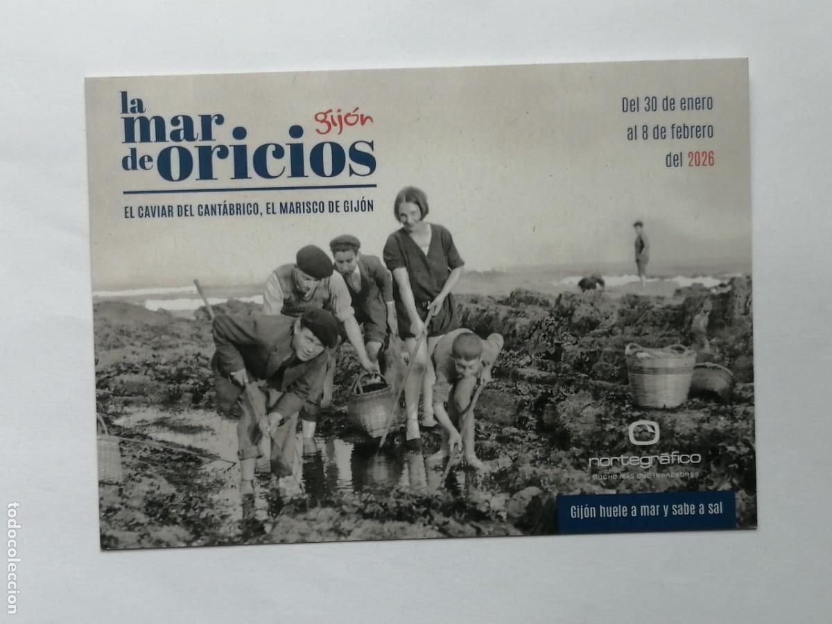 Postales: POSTAL 18422 NUEVA-LA MAR DE ORICIOS GIJON - PESCA ERIZOS DE MAR ASTURIAS