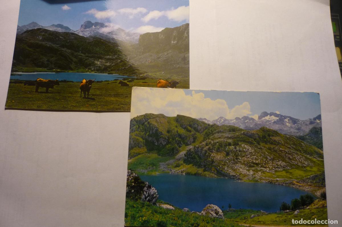 Postales: lote postales lagos de covadonga cm