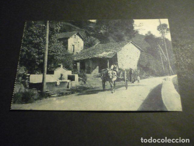 Cartes Postales: PUERTO DE PAJARES ASTURIAS FLOR DE ACEBOS