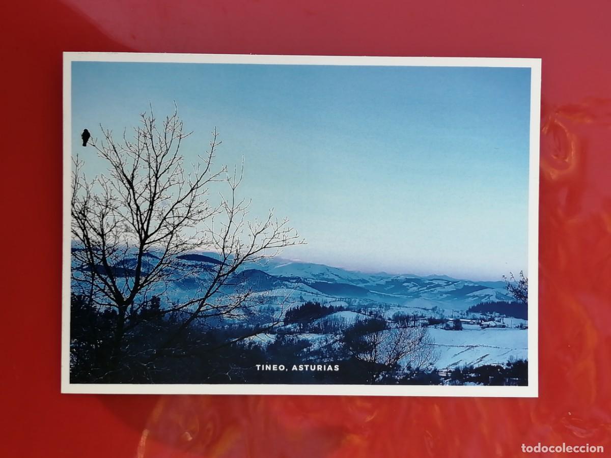 Postales: POSTAL 18804 NUEVA- TINEO ASTURIAS
