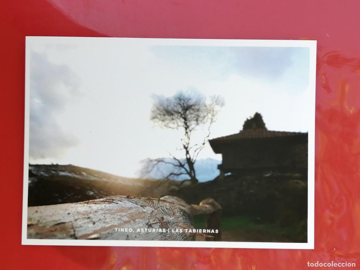 Postales: POSTAL 18801 NUEVA- TINEO ASTURIAS LAS TABIERNAS