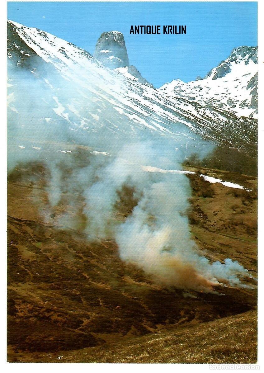 Postales: PICOS DE EUROPA N&ordm; 105 EL PICO URRIELLO / EDICIONES SICILIA / SIN FRANQUEAR