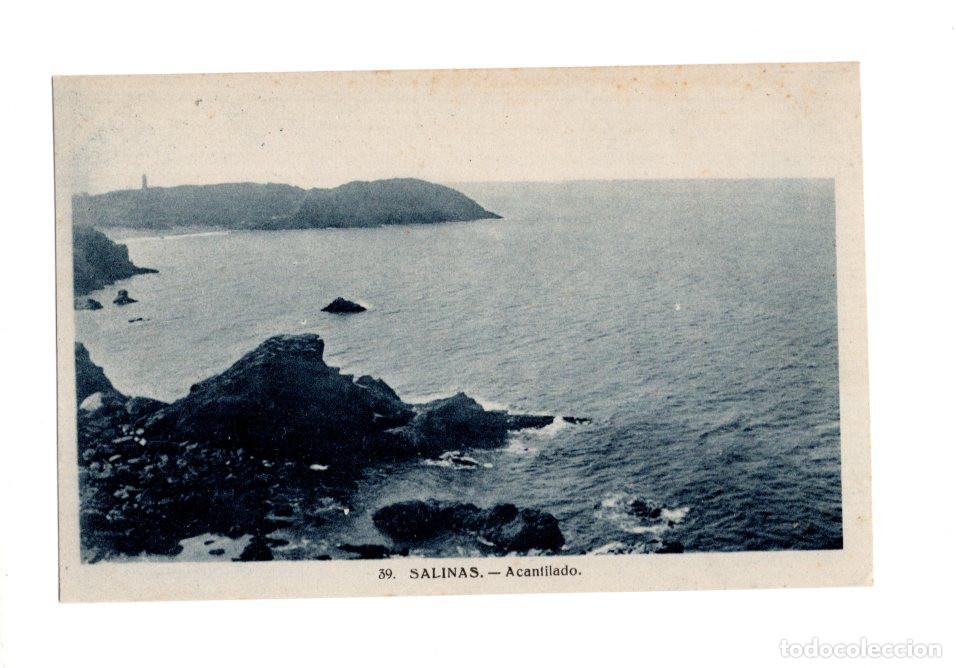 Postales: SALINAS.(ASTURIAS).- ACANTILADO
