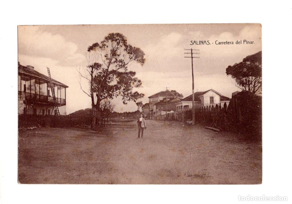 Postales: SALINAS.(ASTURIAS).- CARRETERA DEL PINAR.