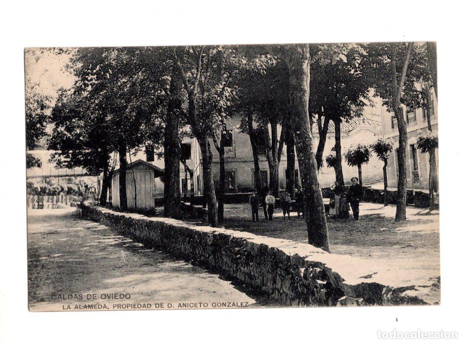 Postales: CALDAS DE OVIEDO LA ALAMEDA, PROPIEDAD DE D. ANICETO GONZALEZ.