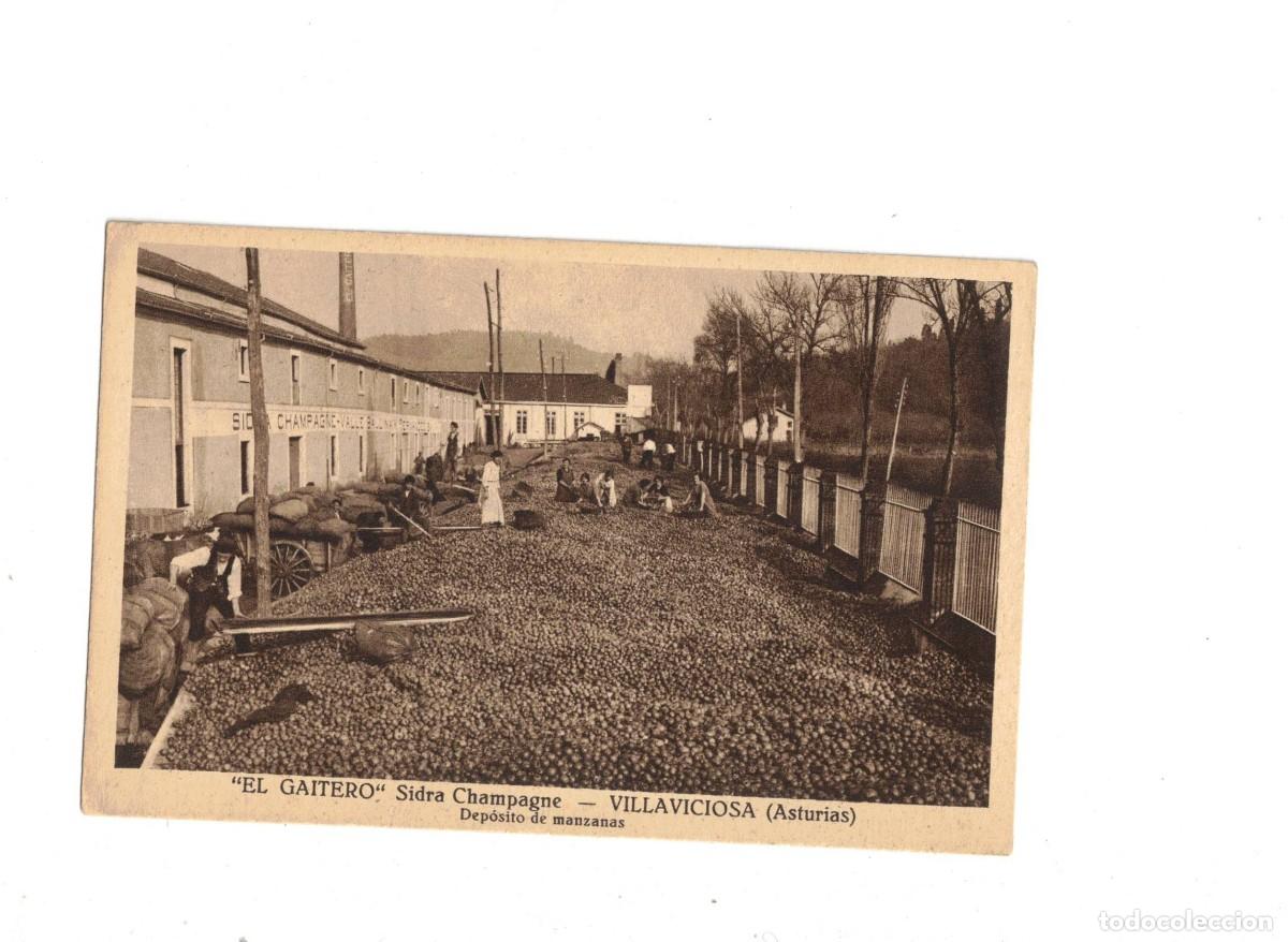 Postales: VILLAVICIOSA. ASTURIAS. EL GAITERO. SIDRA CHAMPAGNE