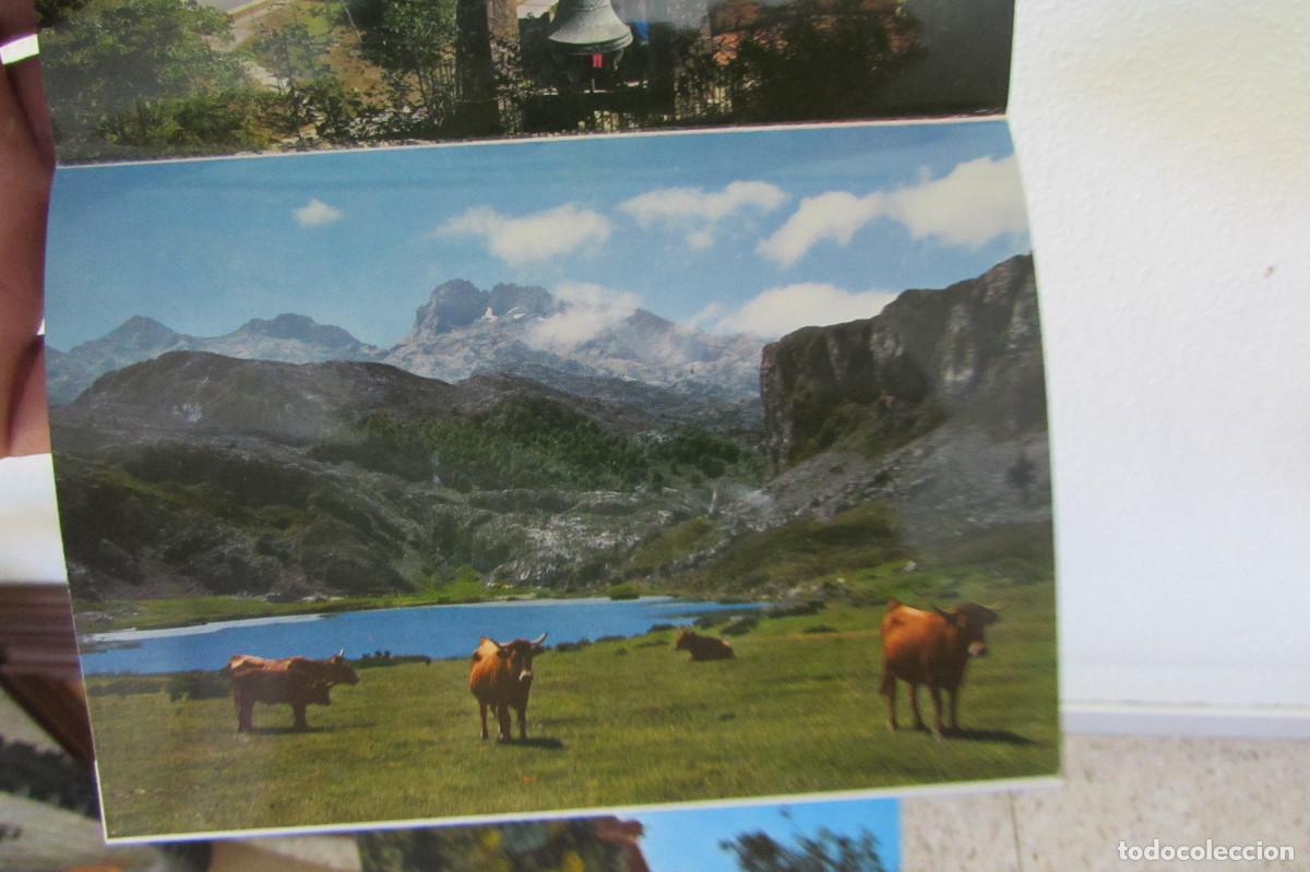 Postales: TIRA DE 10 POSTALES COVADONGA - Foto 6