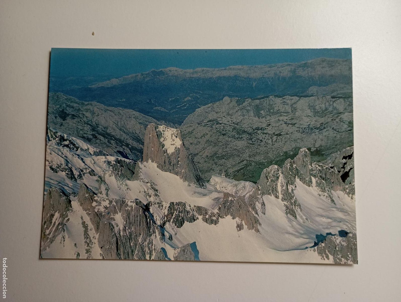 Postales: POSTAL DE ASTURIAS. PICOS DE EUROPA. NARANJO DE BULNES. TDKP29M