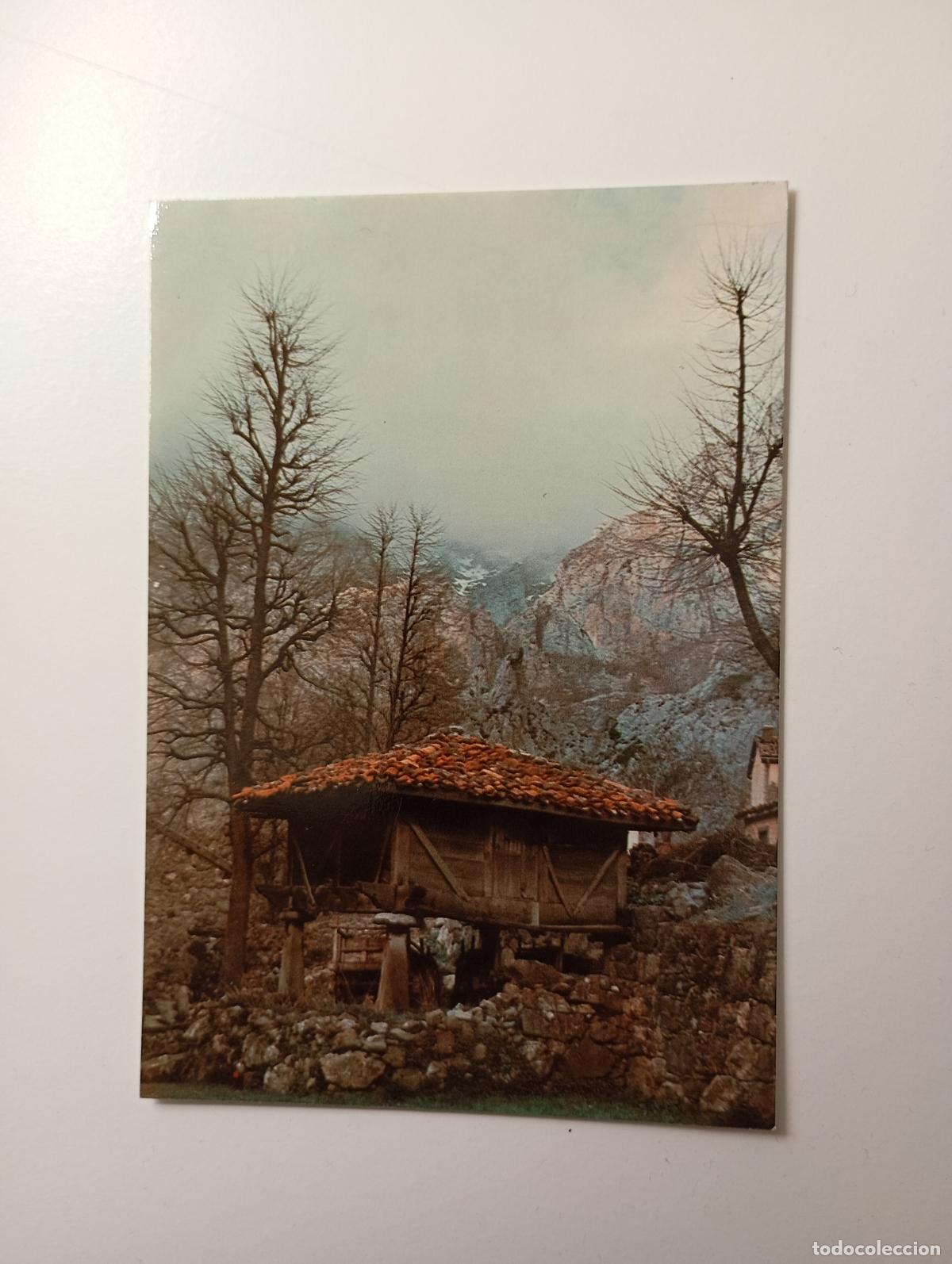 Postales: POSTAL DE PICOS DE EUROPA. H&Oacute;RREO. TDKP29M