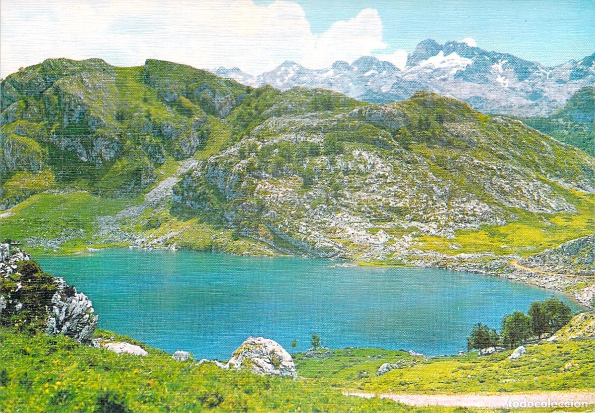 Postales: Postal de Covadonga - Hermosa Vista del Lago Enol en Asturias