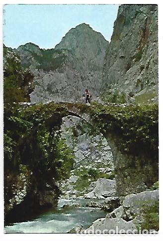 Postales: PUENTE DE LA JAYA SOBRE EL RIO CARES, CAMINO DE BULNES.- PICOS DE EUROPA / ASTURIAS