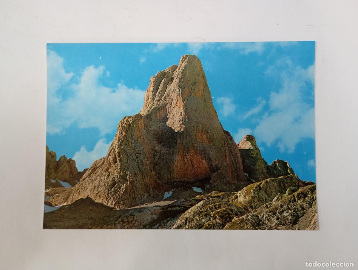 Cartes Postales: POSTAL DE PICOS DE EUROPA. NARANJO DE BULNES. TDKP29S