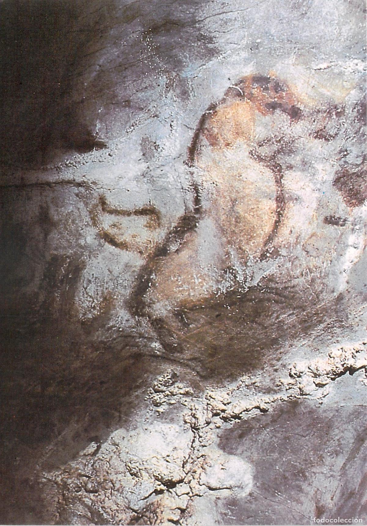 Postales: Postal de la cueva de Candamo en Asturias con pintura de yegua