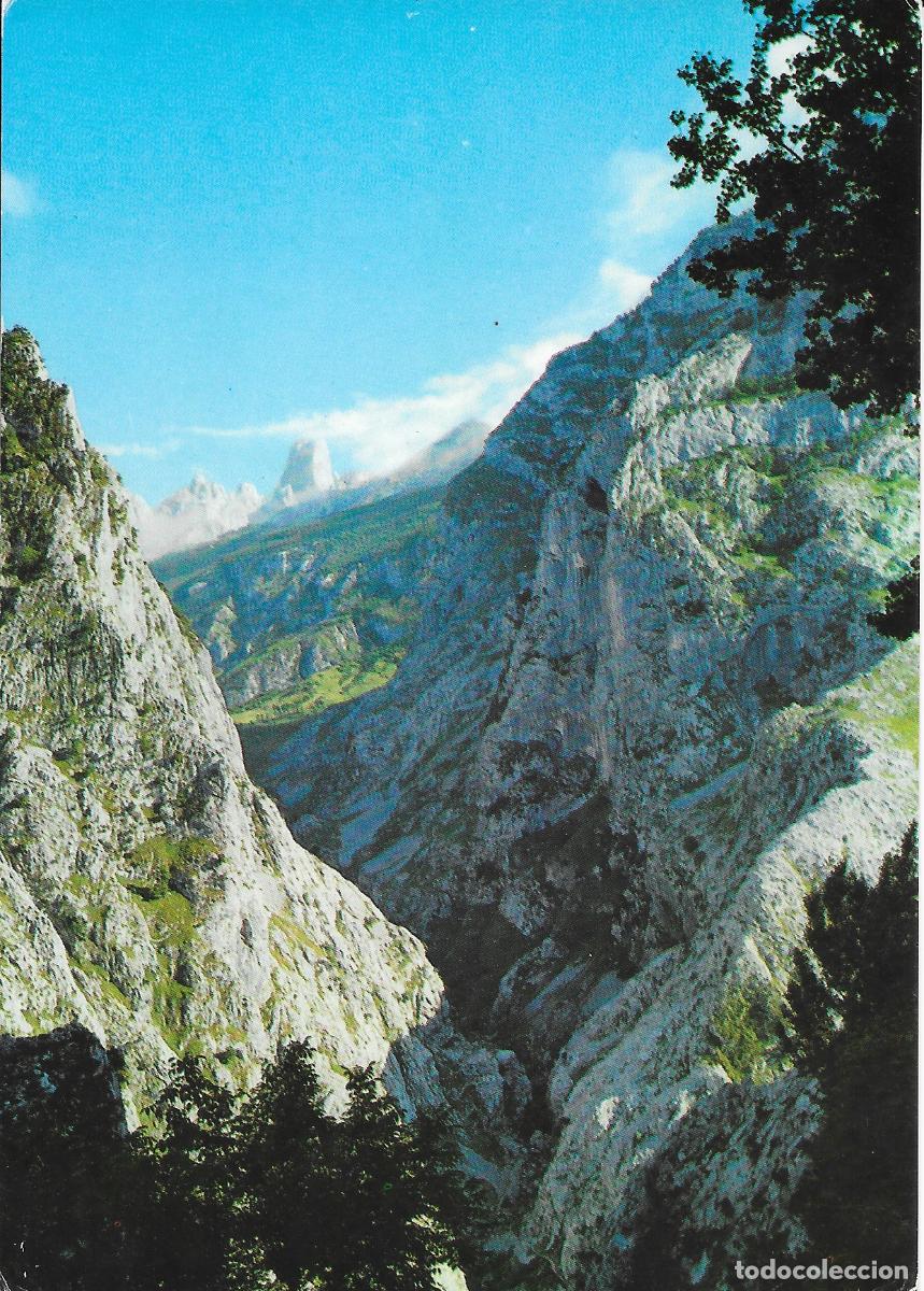 Postales: [POSTAL] Picos de Europa. Al fondo, Naranjo de Bulnes. Asturias (sin circular)