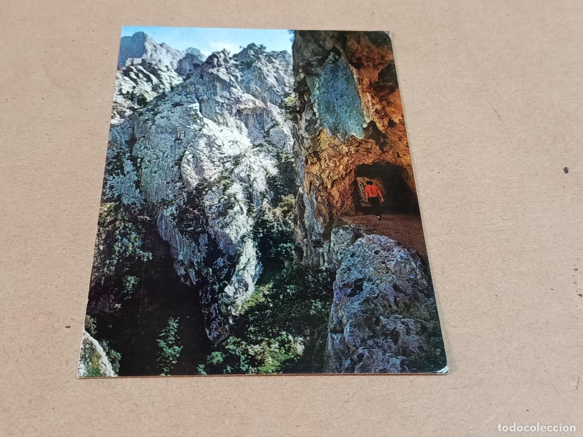 Postales: ASTURIAS - POSTAL PICOS DE EUROPA