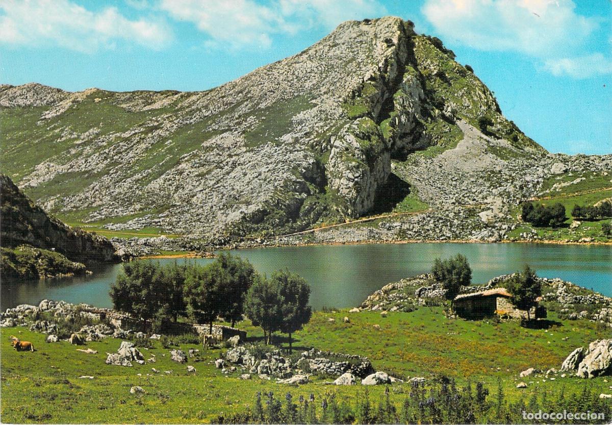 Postales: Postal de Asturias: Paisaje del Lago Enol en los Picos de Europa